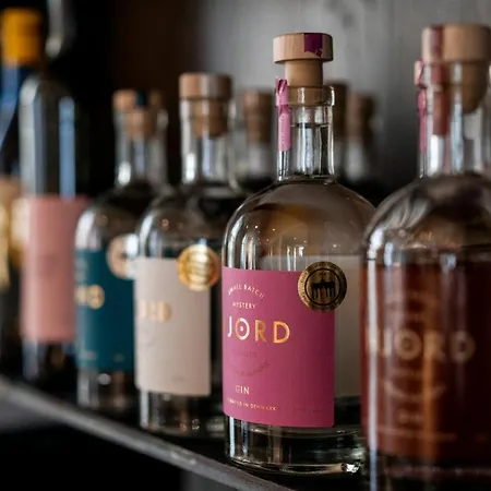 Kong Arthur 4* Kopenhaga